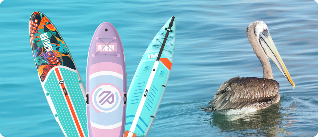 Was tun, wenn man beim Stand-Up-Paddling auf Wildtiere trifft?