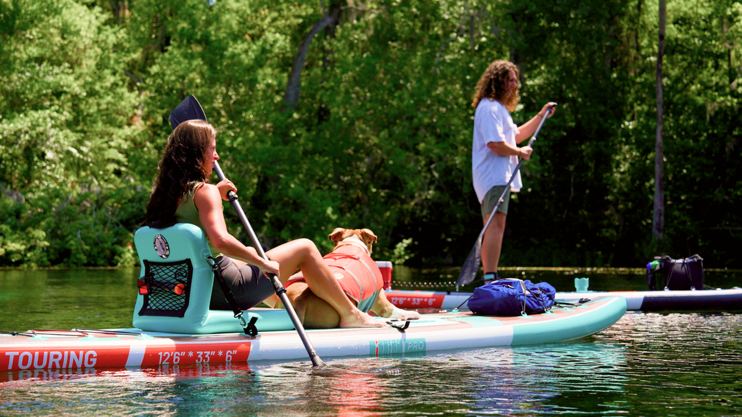 Stand-Up-Paddling mit Haustieren: Alles, was Sie wissen müssen